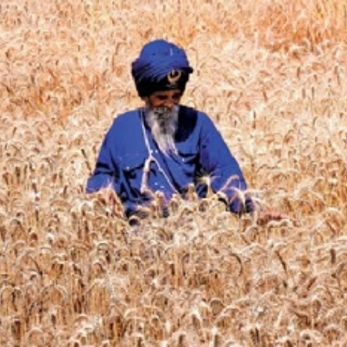 गुरुद्वारों