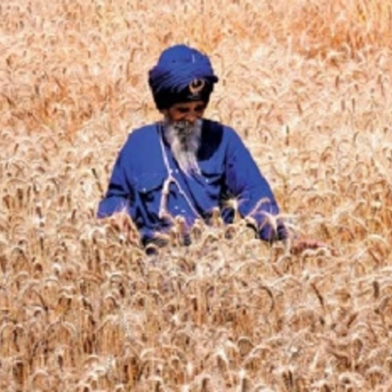 गुरुद्वारों