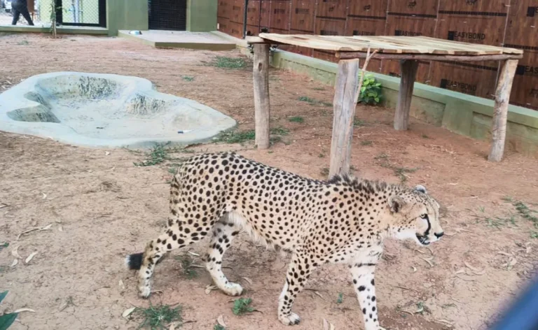 कर्नाटक