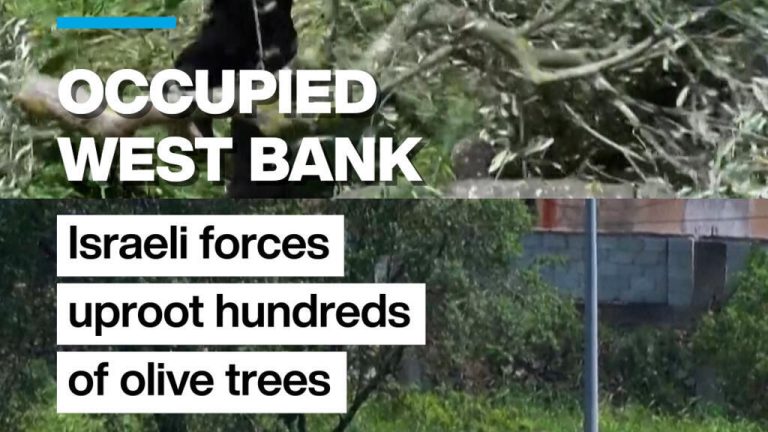 सैकड़ों