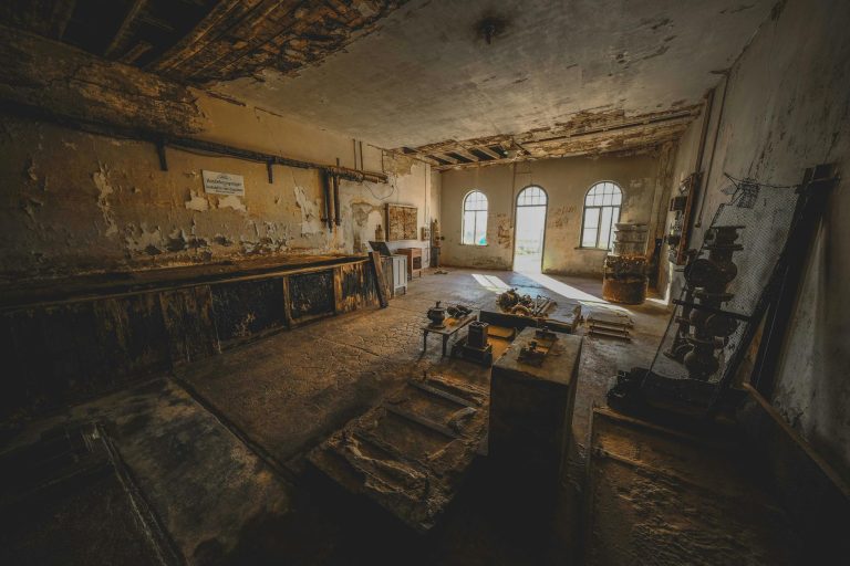 अकेलापन और भूलने की बीमारी: बुढ़ापे में याददाश्त खोने का राज़ क्या है? जानिए Shocking सच