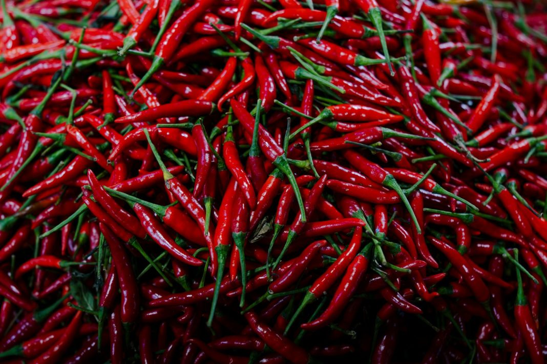 ईंधन विरोध के बीच आयरलैंड ने रिफाइनरी नाकेबंदी हटा दी