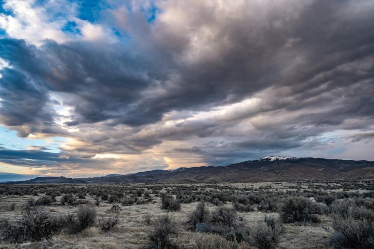 'Drill baby drill' ― Trump opens up nature to big energy